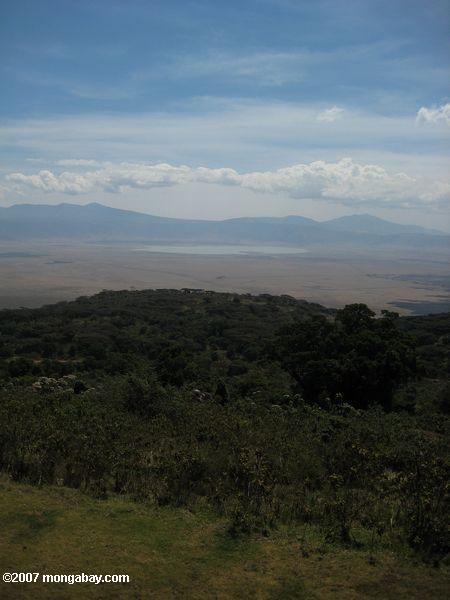 Ngorongoro Crater, incluindo florestas, o caldera, e Lake Magadi