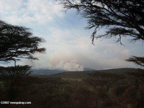 кисть пожара в ngorongoro сохранения область