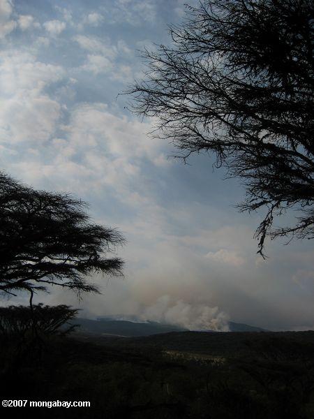 Brush incendie dans la Zone de conservation de Ngorongoro