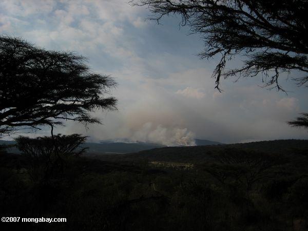 Brush incendie dans la Zone de conservation de Ngorongoro