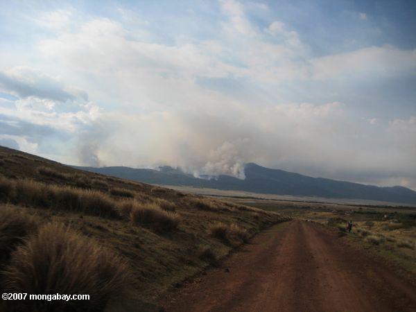Brush fuego en la zona de conservación de Ngorongoro