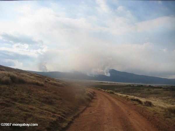 кисть пожара в ngorongoro сохранения область
