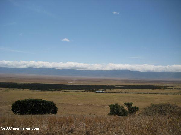 El cráter Ngorongoro