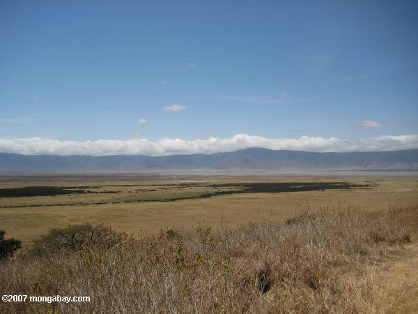 El cráter Ngorongoro