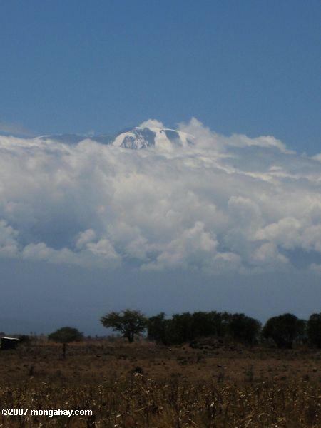 Mt. Килиманджаро