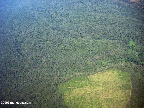вырубки лесов вблизи базы Mt. Килиманджаро