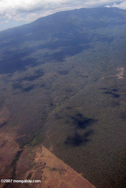 Abholzung an der Basis des Mount Kilimandscharo
