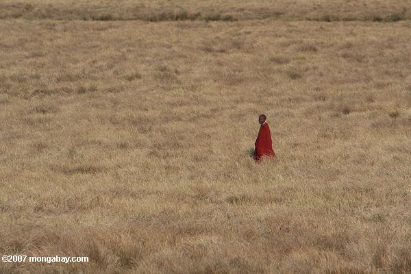 Maasi aîné marcher dans une zone de prairie