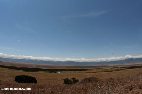 Wiese der Ngorongoro Krater