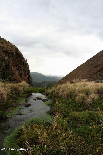 Munge río en el Olmoti caldera,
