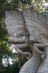 Stone dragons at Wat Phra That Pu Khao