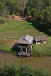 Rice fields and a homan on a stream