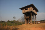 Khao Yai observation tower