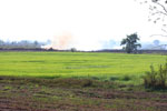 Rice field fire