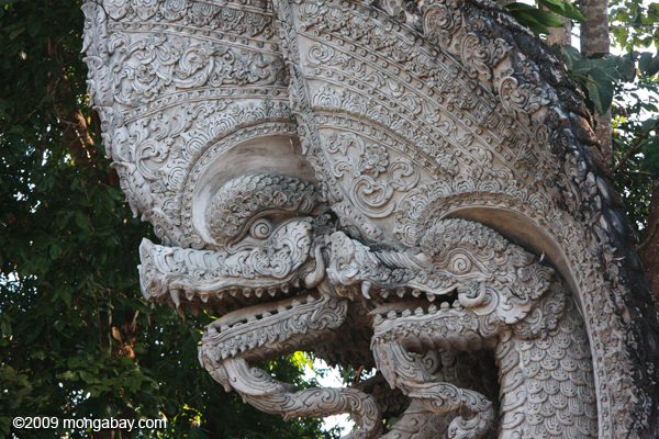 Stone dragons at Wat Phra That Pu Khaor