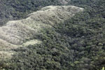 Forest clearing near Chapada