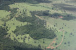Cattle ranching in the Brazilian Amazon [brazil_0290]
