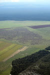 Cattle pasture and Amazon forest