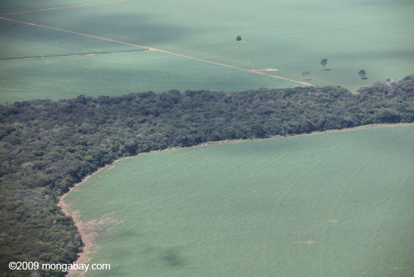  Soy fields meet Amazon rainforest in Brazil. A new study argues that the destruction of rainforests for agriculture must stop. Photo by: Rhett A. Butler .