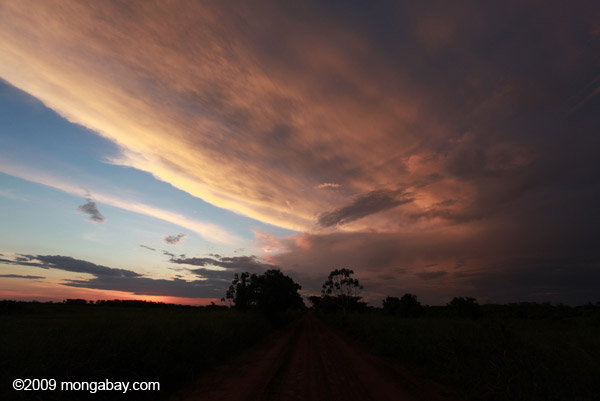Sunset over the Brazilian Pantanal. Photo by: Rhett A. Butler.
