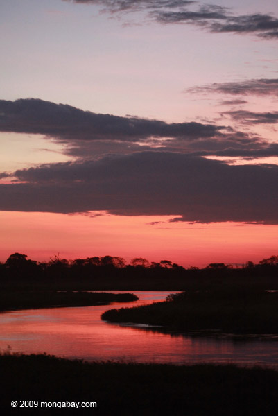 Sunset in the Pantanal. Photo by: Rhett A. Butler.