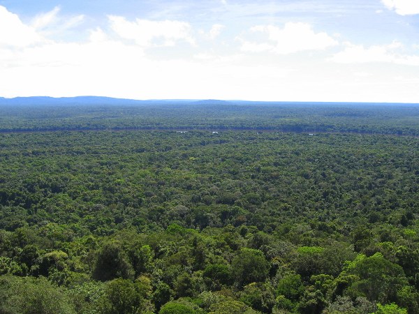 Overlooking rainforest in Guyana. Photo by: Jeremy Hance.