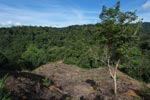 New oil palm development near the boundary of Gunung Leuser National Park