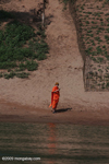 Monk standing on the bank of the Nam Ou river while holding a cell phone