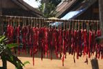 Deer meat drying in the sun