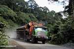 Logging truck carrying timber out of the Malaysian rainforest